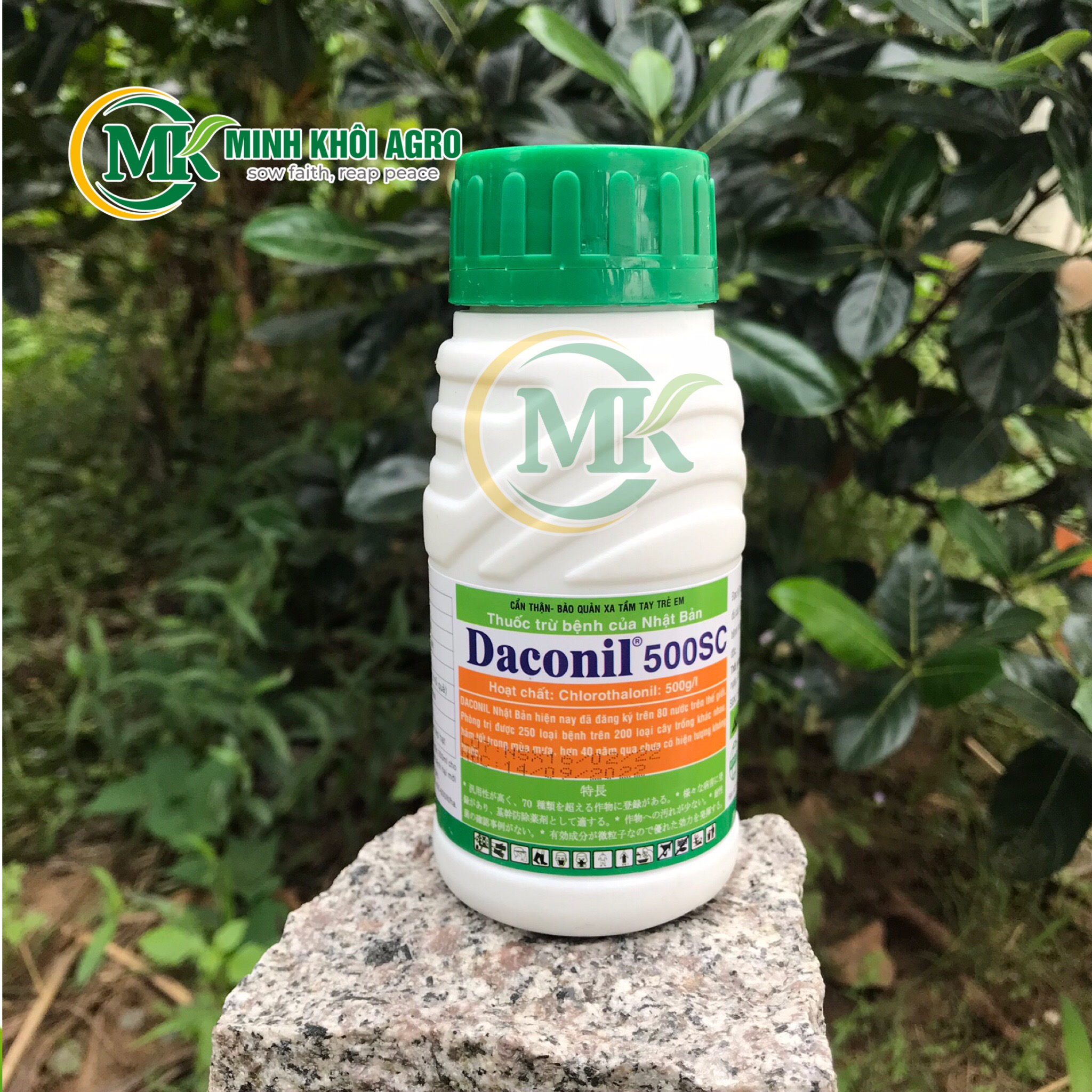  Thuốc trừ bệnh  Daconil 500SC- Chai 240ml